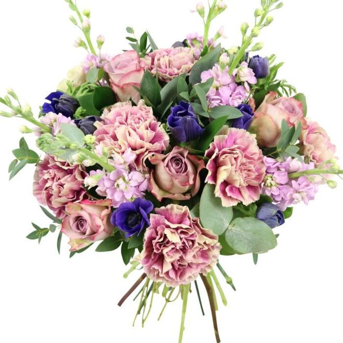 In the photograph, a hand-tied bouquet is showcased against a simple white background, allowing every bloom and leaf to be clearly seen. The arrangement is lush and full, composed primarily of garden roses and carnations in a palette of soft blush, dusty mauve, and antique rose. The roses sit at the centre, their many layers of petals spiralling outwards and giving the design a romantic focal point. Around them, ruffled carnations provide plush texture and volume; their petals are shaded from creamy beige and pale pink at the core to richer rose and plum tones along the edges, which creates a sense of depth and gentle movement. Vivid blue flowers introduce a striking contrast: deep indigo and royal blue blooms, including an open anemone with a dark, almost black centre, are placed thoughtfully among the pinks, offering a modern, jewel-toned accent. From the core of the bouquet, slender shoots of lilac and pale lavender stock rise gracefully, each stem lined with many small, clustered blossoms that add height and a light, feathery quality. The entire composition is surrounded by lush greenery-broad, glossy dark green leaves interspersed with round, silvery eucalyptus that softens the overall look with its cool, muted tone. At the base, the natural stems are gathered tightly and left visible, suggesting a freshly prepared bouquet that could be carried along Norbury Crescent or delivered to a home near the open spaces of Norwood Grove. The mood of the piece is refined yet welcoming, perfect for a wedding, anniversary, or any occasion where an elegant but comforting floral presence is desired.
