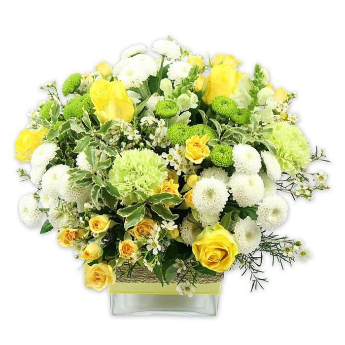 A striking, lush bouquet in a low, rectangular glass vase is captured against a stark white backdrop, making its joyful mix of yellows, whites, and vivid greens stand out clearly. The arrangement is dome-shaped and carefully composed, with clusters of yellow roses and smaller yellow spray roses forming the warm heart of the design. Their velvety, layered petals unfold in gentle spirals, giving a sense of abundance and comfort, as if welcoming guests to a home near Green Lane in Norbury. Surrounding the roses are numerous white pompom chrysanthemums and similarly compact, rounded white blooms, their densely packed petals creating neat, cushiony spheres that lend structure and calm. Threaded between them, bright lime green button chrysanthemums offer playful, button-like dots of colour, and larger, ruffled pale green flowers reminiscent of green carnations or decorative chrysanthemums introduce a light, frilly texture. Lush greenery envelopes the flowers: broad, variegated leaves with pale edges, glossy deep green sprigs, and finer, wispy stems combine to create a layered, natural frame. Scattered throughout the bouquet are tiny white filler flowers, each star-like and delicate, which soften the transitions between the larger heads and add detail for those who like to linger over each bloom. The stems are neatly arranged and visible through the clear glass vase, reinforcing a crisp, contemporary look. Around the center of the vase, a rustic band of natural fibre or bark is wrapped snugly, then accented with a pale yellow or lime green ribbon, echoing the colours above and lending an earthy elegance. The overall mood is bright yet soothing, perfectly suited for birthdays, get-well wishes delivered across Norbury, or as a fresh, seasonal centerpiece that brings a touch of garden joy indoors.